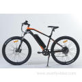 XY-Sportsman eMTB with stable performance